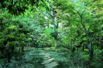 パークコート千代田四番町　｢シーズンズフォレスト｣完成予想CG