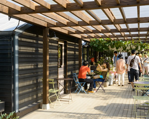 ファイル:The Farm UNIVERSAL 彩都161024.jpg