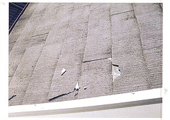 ファイル:プレサンスロジェ武庫之荘建築工事(施工:鍛冶田工務店) 2.jpg