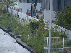 ファイル:ブランズ西大津レイクテラス 白い金網の柵.jpg