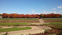 ファイル:パークタワー南千里丘 付近環境.jpg