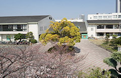 ファイル:市立桃園小学校 高槻160930.jpg