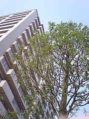 ファイル:リビンコートプライム伊福町 2007年10月29日撮影.jpg