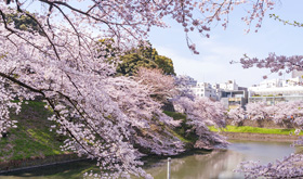 ファイル:千鳥ヶ淵公園 九段161006.jpg