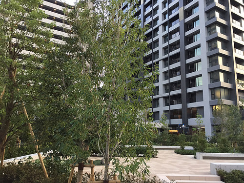 ファイル:シティタワー梅田東 北東.jpg