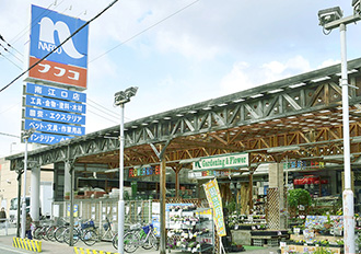 ファイル:ホームプラザナフコ ブランズ.jpg