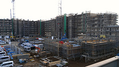 ファイル:20131228オハナ ふじみ野上野台ブロッサム.jpg