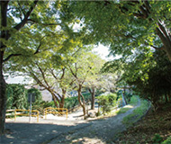 ファイル:たぬき山公園 南馬込161012.jpg