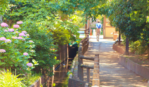 ファイル:六辻水辺公園 南浦和161005.jpg