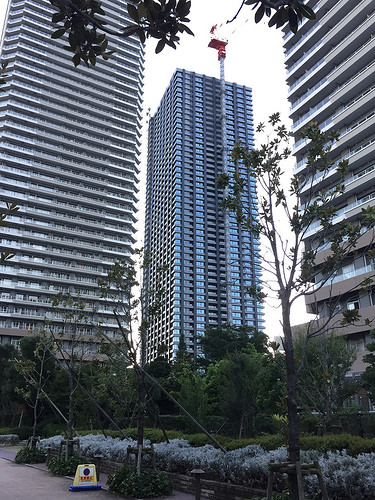 ファイル:現地状況 東南から(2015-08-05撮影)170518.jpg