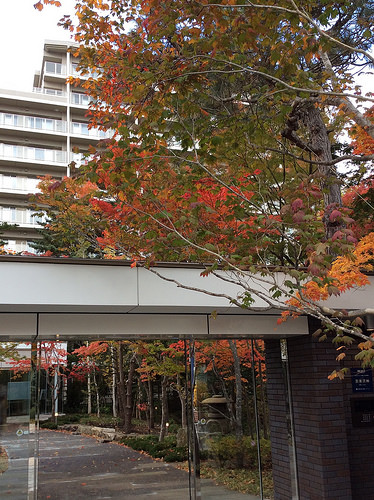 ファイル:施工時 正面のゲートから(2015-10-29 撮影)170219.jpg