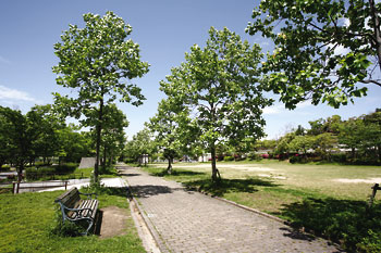 ファイル:Brillia(ブリリア)六甲アイランド ブランズリビオ六甲アイランド公園.jpg