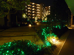 ファイル:クリスマスイルミネーション.jpg