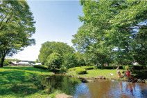 ファイル:県立相模原公園 相武台161024.jpg