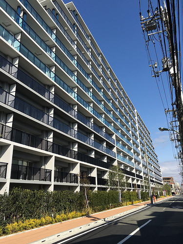 ファイル:20160326シティテラス大森西2.jpg