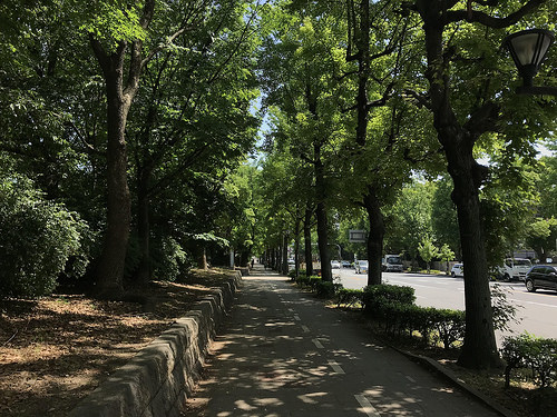 ファイル:グランドメゾン上町台 ザ・タワー2018.08.05.jpg