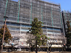 ファイル:2014331オハナ ふじみ野上野台ブロッサム.jpg