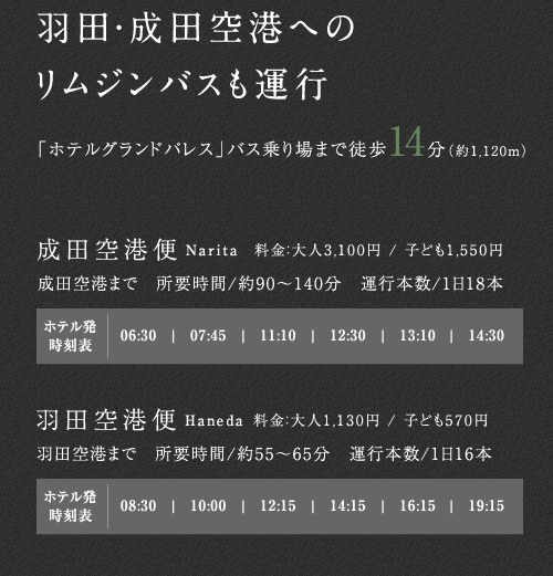 ファイル:空港アクセス リムジンバス 九段161007.png