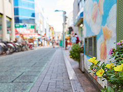 ファイル:綱島西口商店街 綱島161016.jpg