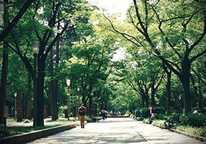 ファイル:靭公園 本町161104.jpg