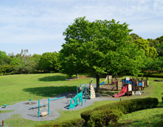 ファイル:王禅寺ふるさと公園 上麻生161104.jpg