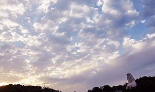 ファイル:大船観音寺 鎌倉161013.jpg