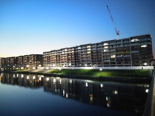 ファイル:現地状況 東側の東埼玉道路側(2014-10-29撮影)170420.jpg