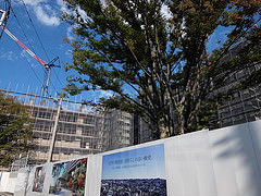 ファイル:20141025オハナ八王子 オークコート2.jpg