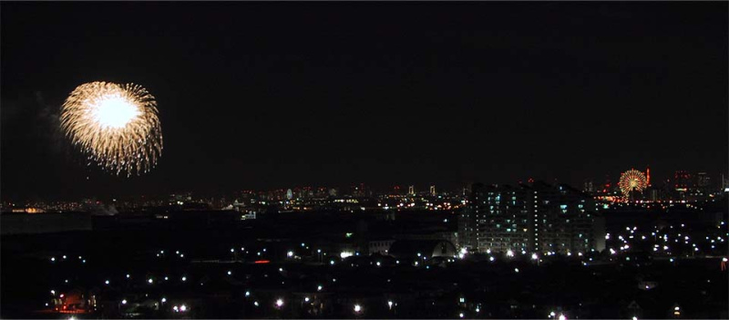 ファイル:クレストシティタワーズ浦安 外観15.jpg