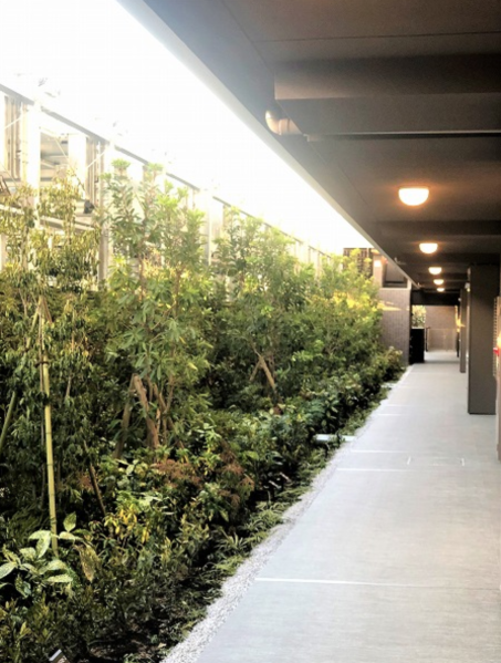 ファイル:ジークレフ池田石橋 駐車場との間の植栽１.png