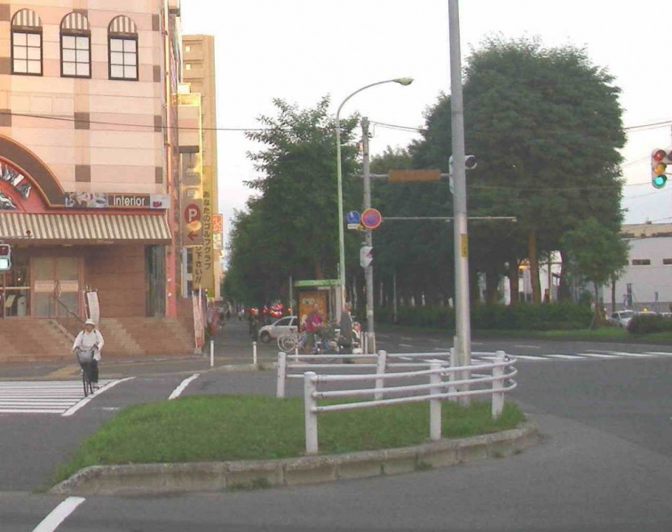 ファイル:南郷18丁目駅上交差点05 2.jpg