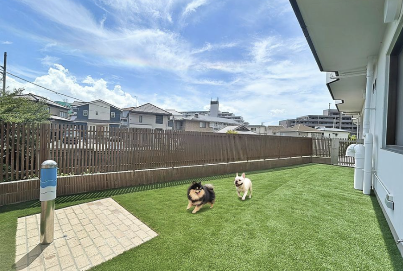 ファイル:リリファ湘南野比 ドッグラン2.png