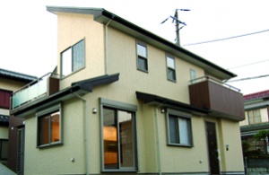 西洋ハウジング外観.jpg
