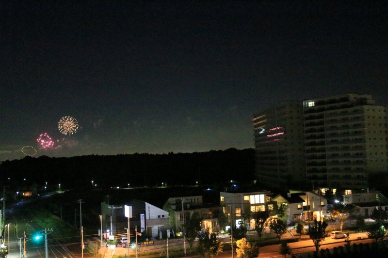 ファイル:ルフォン流山おおたかの森流山花火大会.jpg