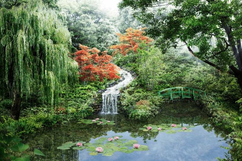 ファイル:リバーガーデンタワー 上町台筆ヶ崎 睡蓮の池 完成予想図.png