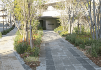 パークホームズ　ノースゲートスクエア　エントランスアプローチ