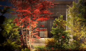 ザ・パークハウス 板橋大山大楠ノ杜　エントランス完成予想図