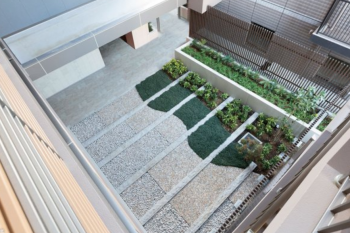 パークシティ柏の葉キャンパス サウスフロント　中庭