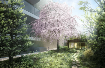 フォレセーヌ渋谷富ヶ谷　中庭完成予想図