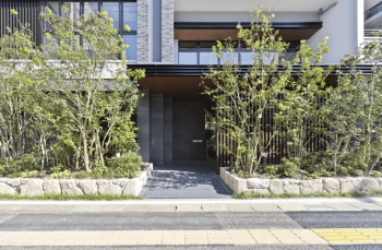 ブランシエラ赤坂はなみずき通り　エントランスアプローチ1