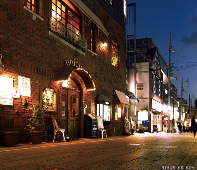 ファイル:グラン レ・ジェイド岡本 石畳の岡本商店街 20171120.jpg