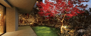 パークホームズ杉並上荻　プライベートガーデン完成予想図