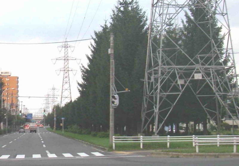 ファイル:南郷18丁目駅上交差点04 2.jpg