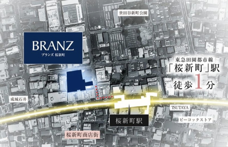 ファイル:ブランズ桜新町 現地周辺航空写真.png