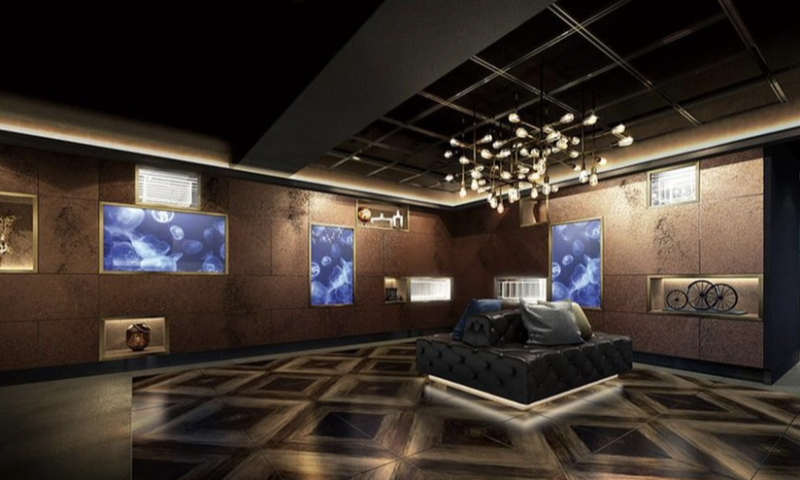 ファイル:リビオレゾン勝どきnex エントランスホール完成予想CG.png