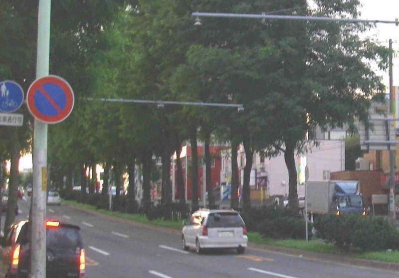 ファイル:南郷18丁目駅上交差点03 1.jpg