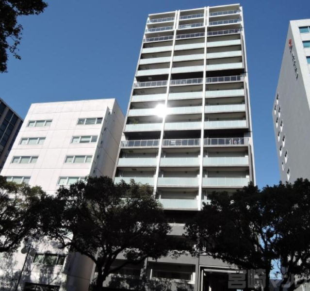 ファイル:ポレスター宮崎ザ・プレミアム 外観.png