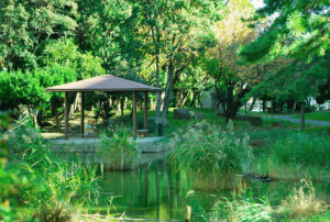 ジオ南砂町　仙台堀川公園 2