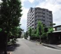 2010年5月20日 (木) 15:25時点における版のサムネイル