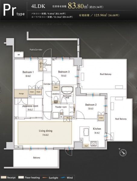 ファイル:レーベン多摩永山GARDEN HILLSprtype.JPG